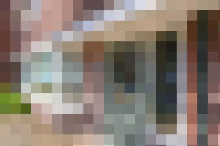 Vaartscherijnstraat 13 Utrecht thumbnail 8