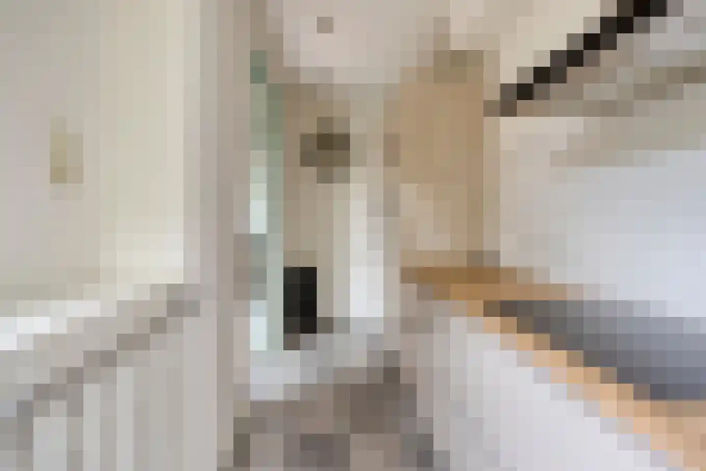Vaartscherijnstraat 14 Utrecht thumbnail 11