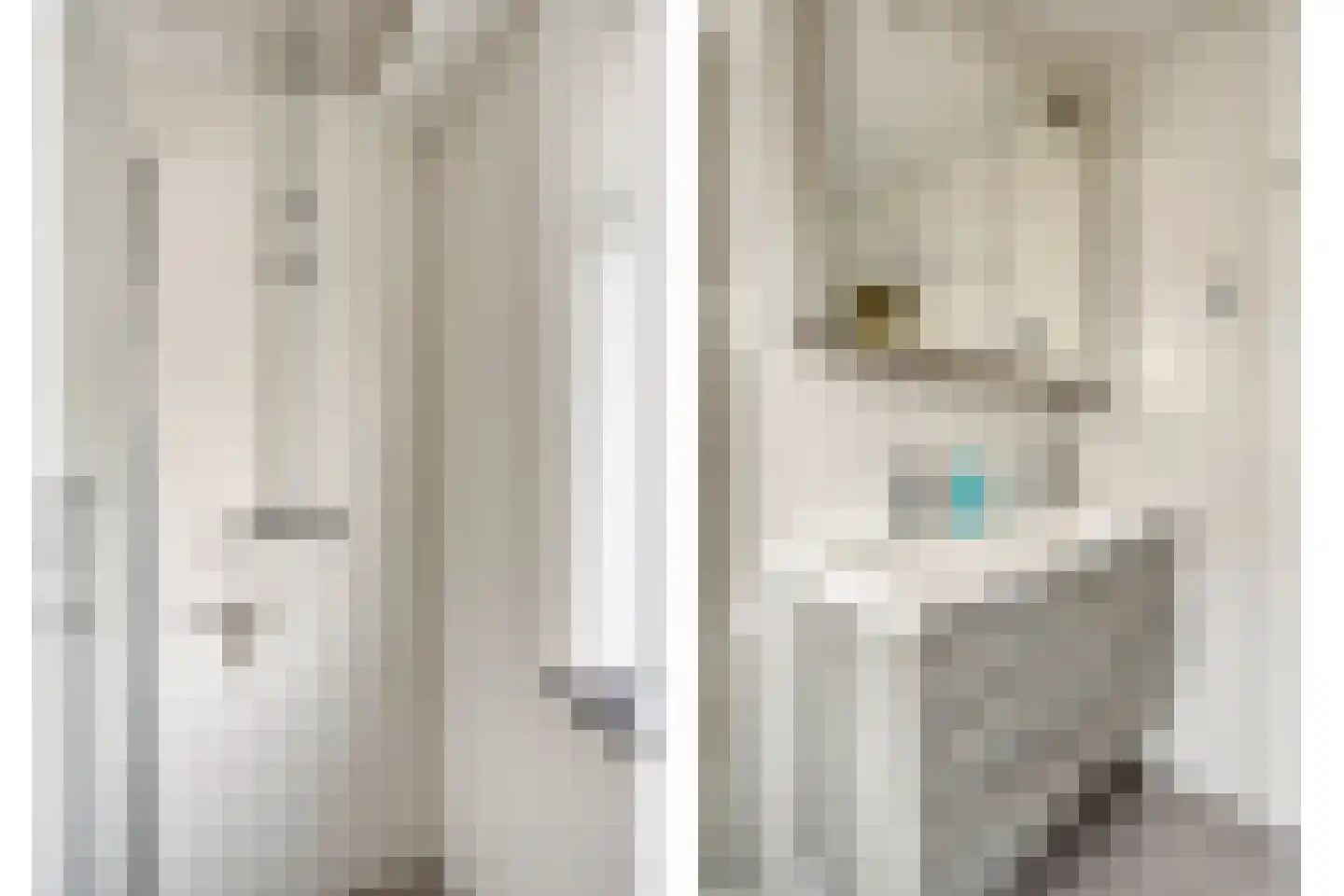 Vaartscherijnstraat 14 Utrecht thumbnail 17