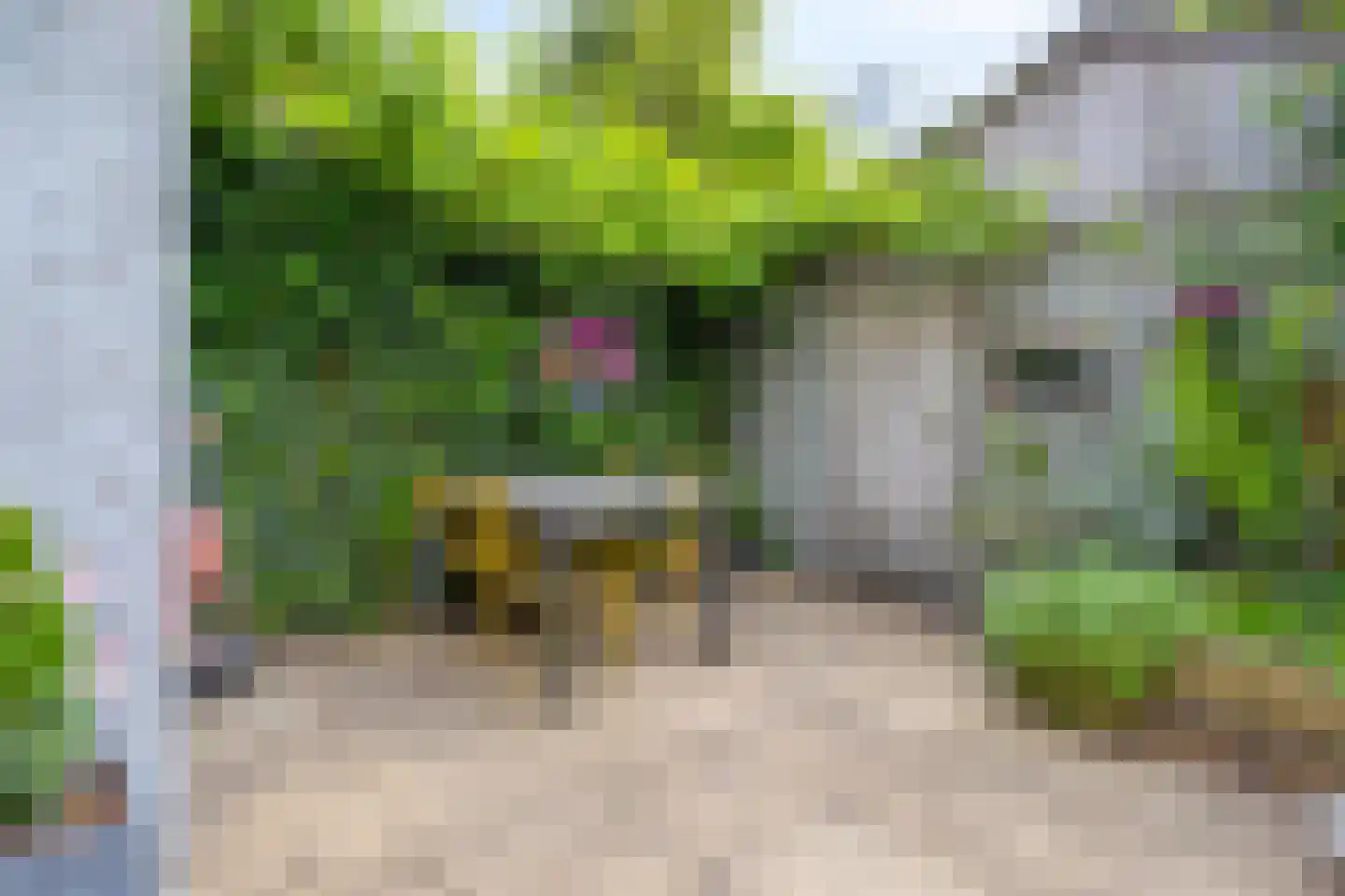 Vaartscherijnstraat 14 Utrecht thumbnail 25
