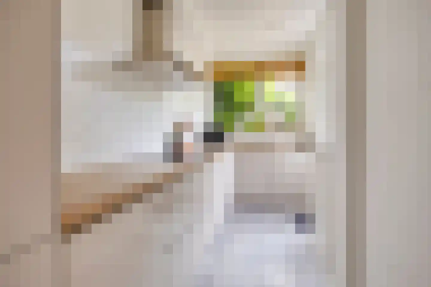 Vaartscherijnstraat 14 Utrecht thumbnail 4