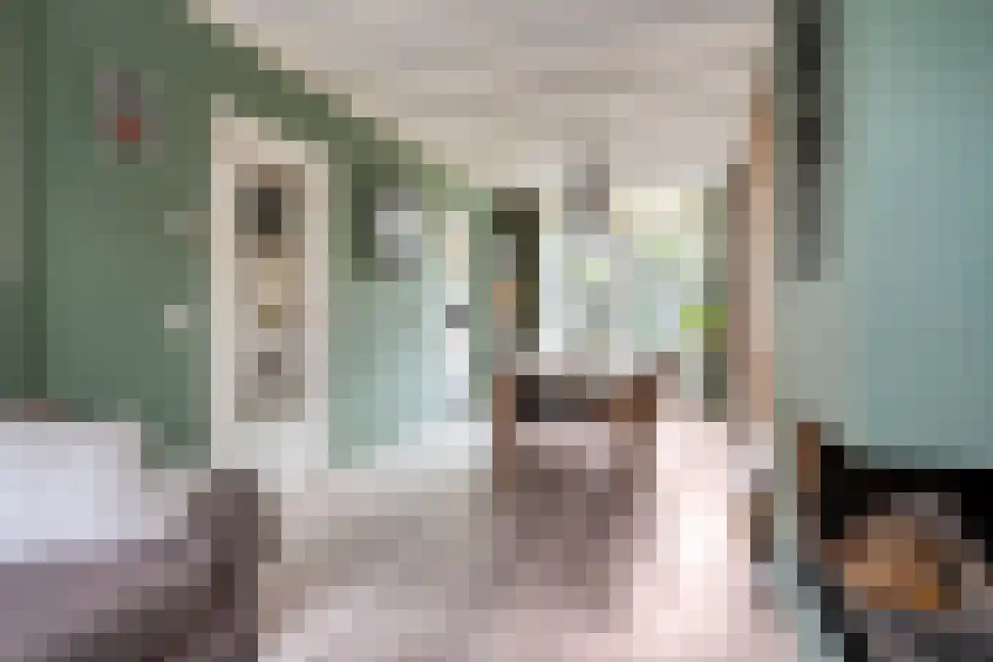 Vaartscherijnstraat 14 Utrecht thumbnail 8