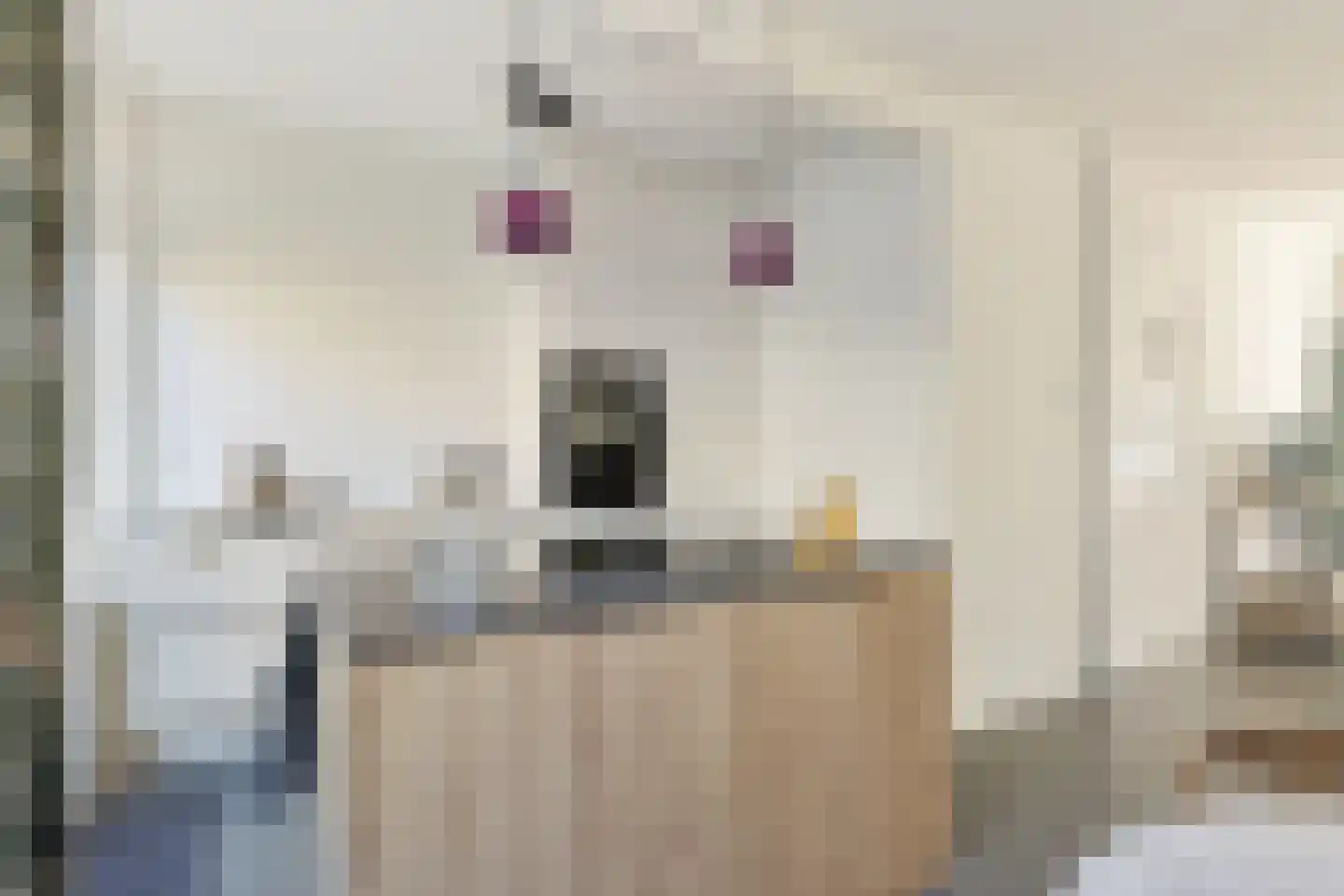 Vaartscherijnstraat 24 Utrecht thumbnail 18