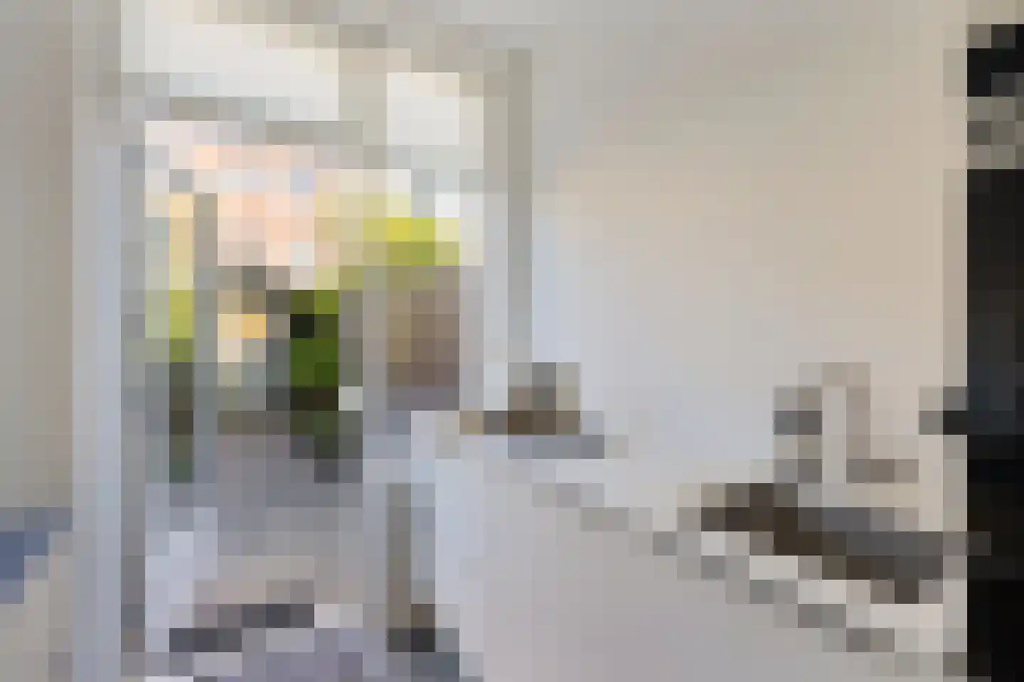 Vaartscherijnstraat 24 Utrecht thumbnail 22