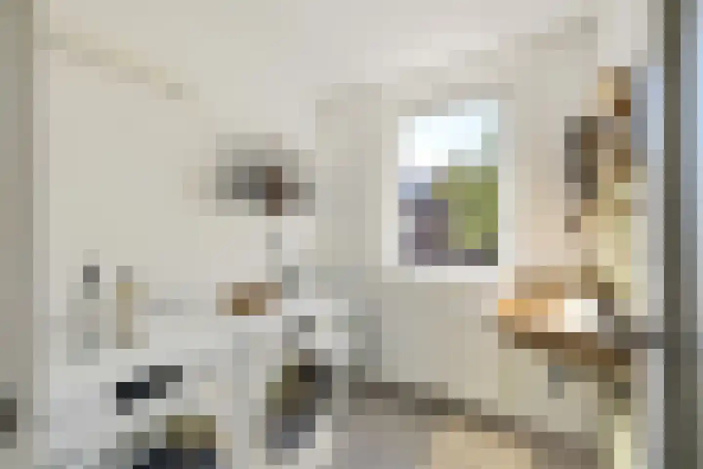 Vaartscherijnstraat 24 Utrecht thumbnail 32