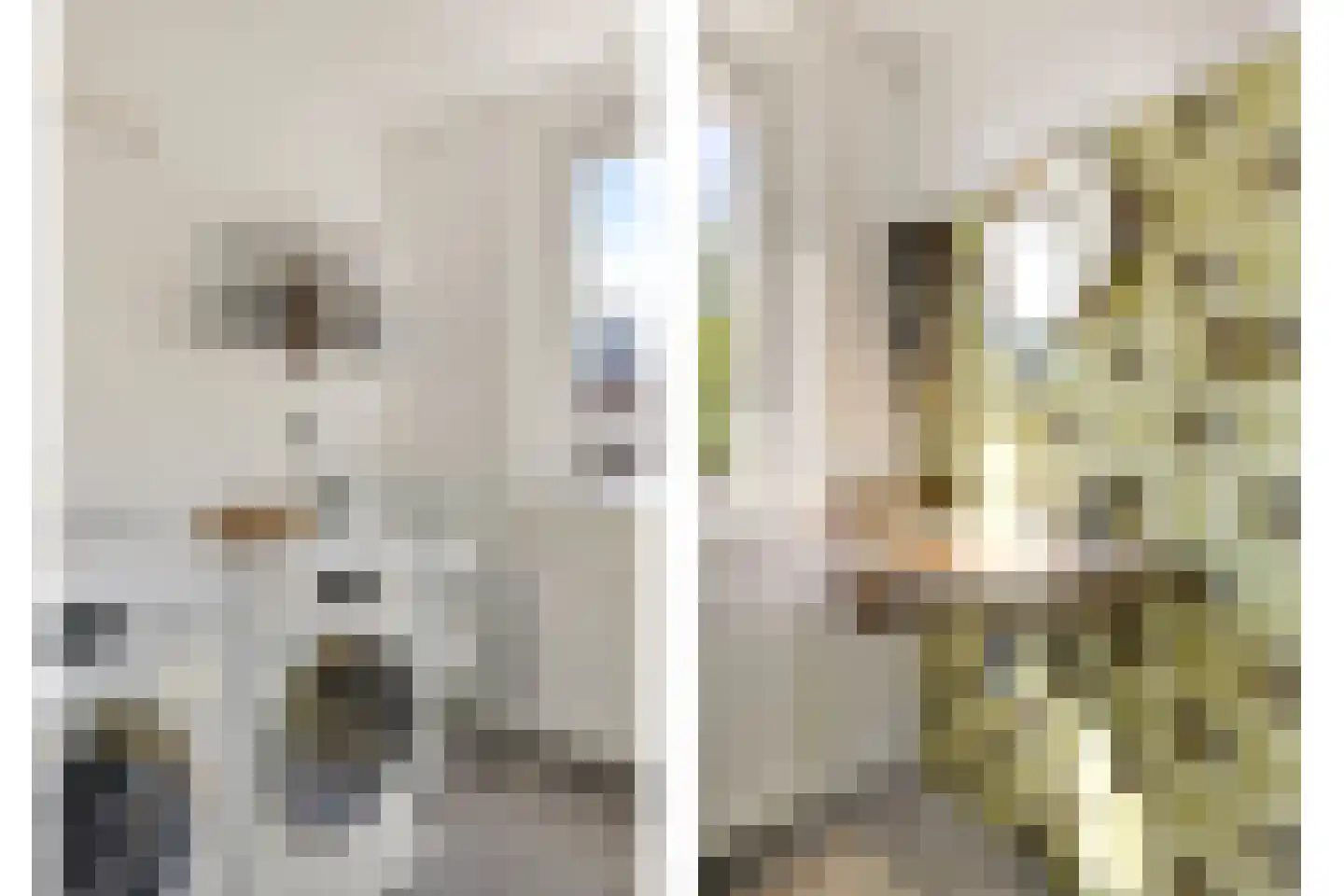 Vaartscherijnstraat 24 Utrecht thumbnail 33