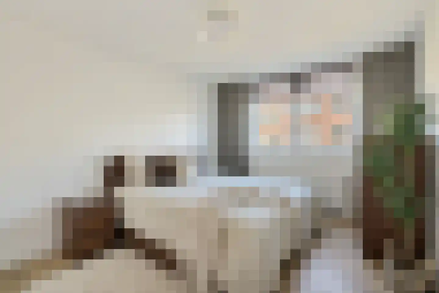 Vaartscherijnstraat 24 Utrecht thumbnail 35
