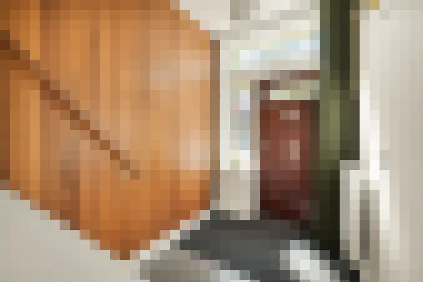 Vaartscherijnstraat 24 Utrecht thumbnail 7