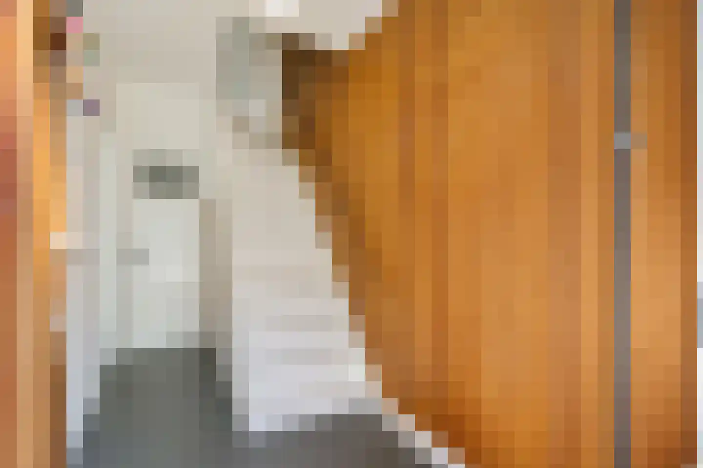 Vaartscherijnstraat 24 Utrecht thumbnail 9