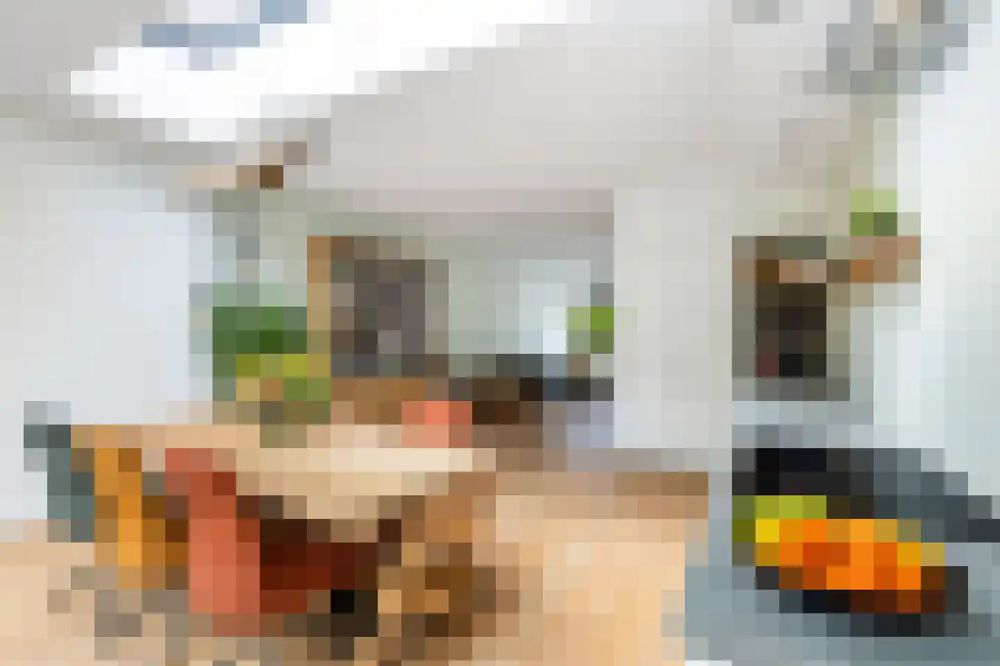 Vaartscherijnstraat 46 Utrecht thumbnail 11