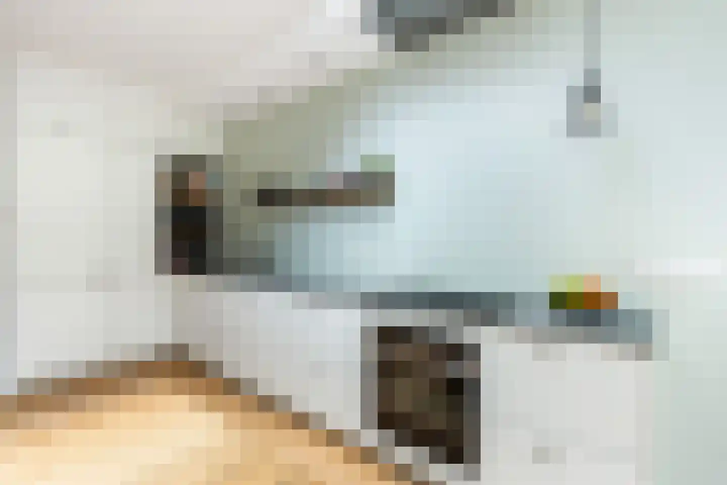 Vaartscherijnstraat 46 Utrecht thumbnail 12