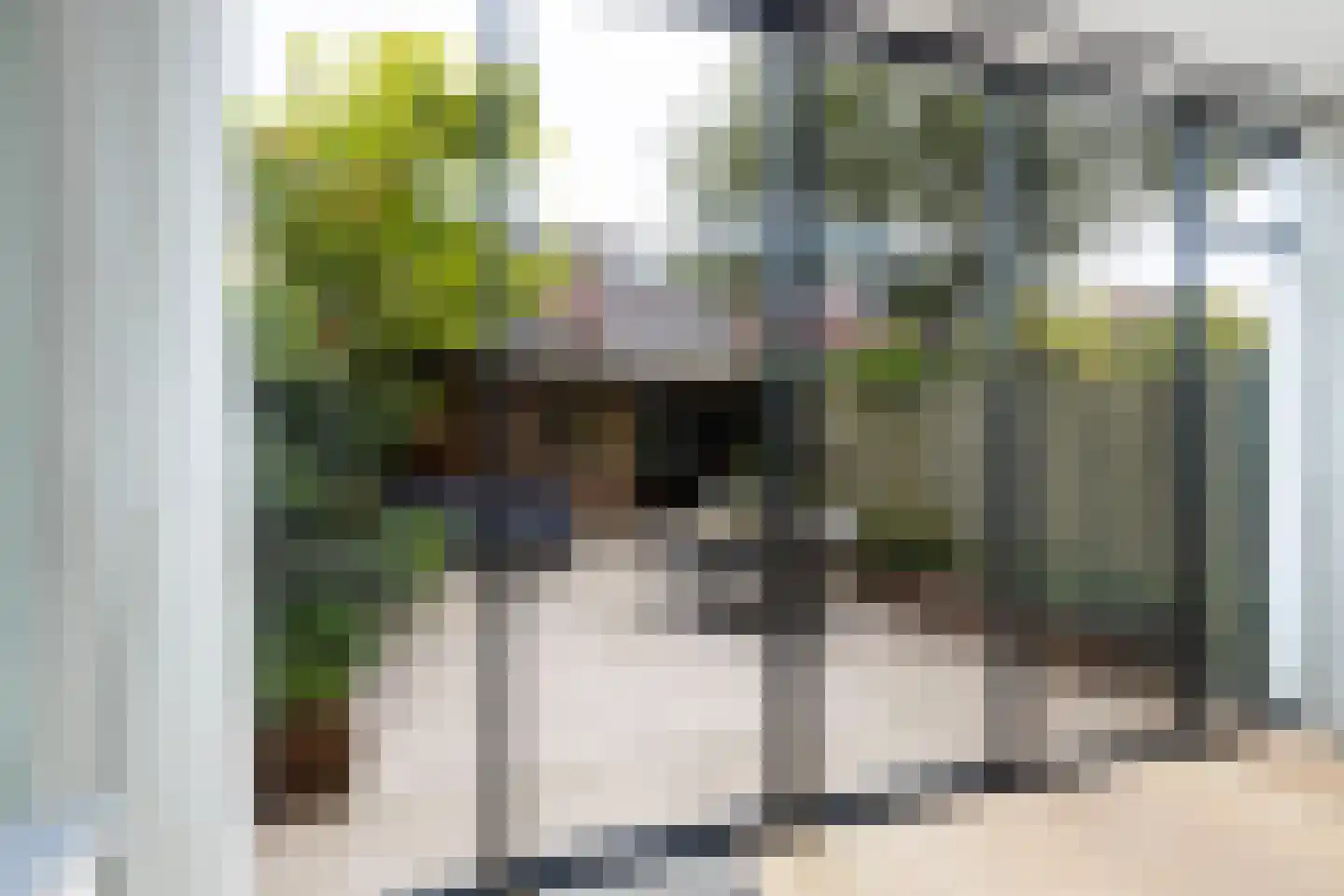 Vaartscherijnstraat 46 Utrecht thumbnail 18