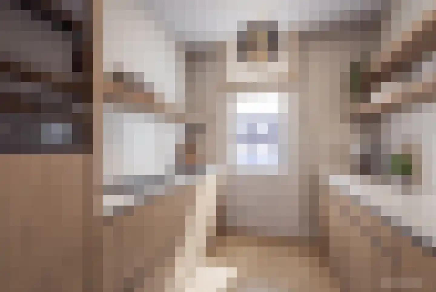 Vaartsestraat 12 BS Utrecht thumbnail 10