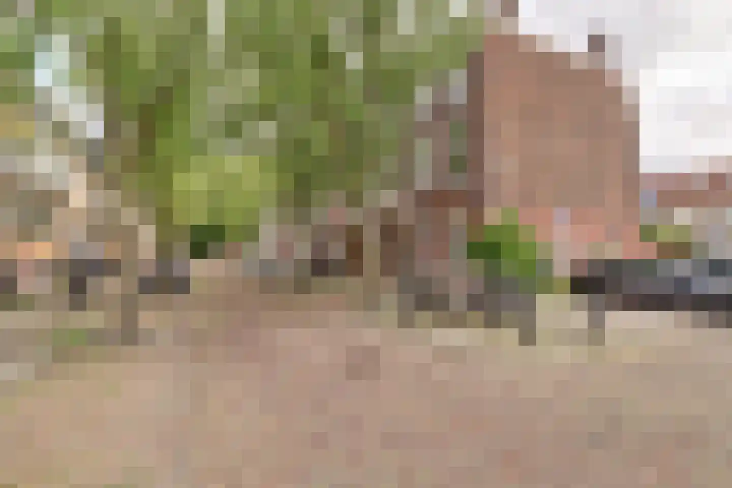 Vaartsestraat 12 BS Utrecht thumbnail 33