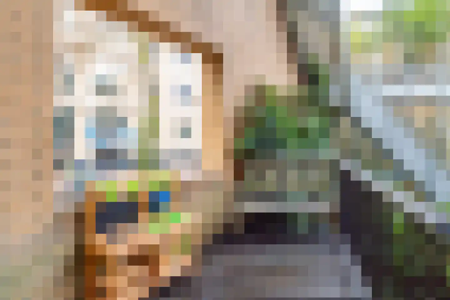 Vaartsestraat 35 Utrecht thumbnail 18