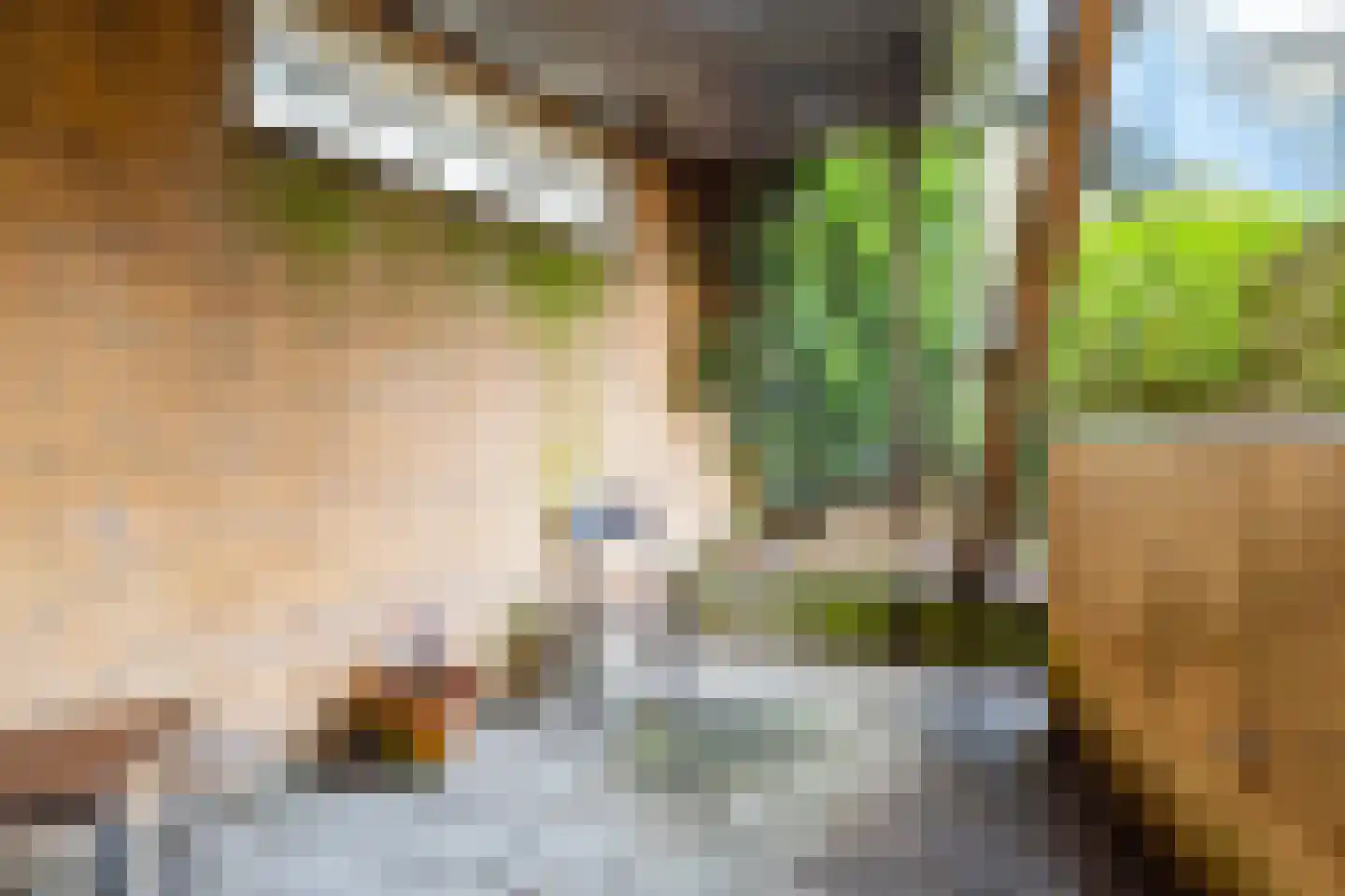 Vaartsestraat 35 Utrecht thumbnail 27