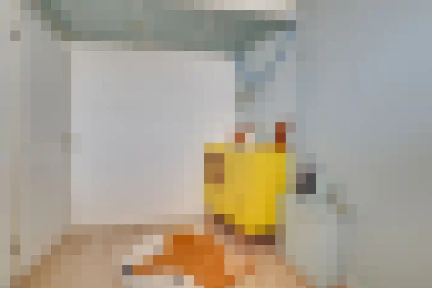 Vaartsestraat 35 Utrecht thumbnail 34