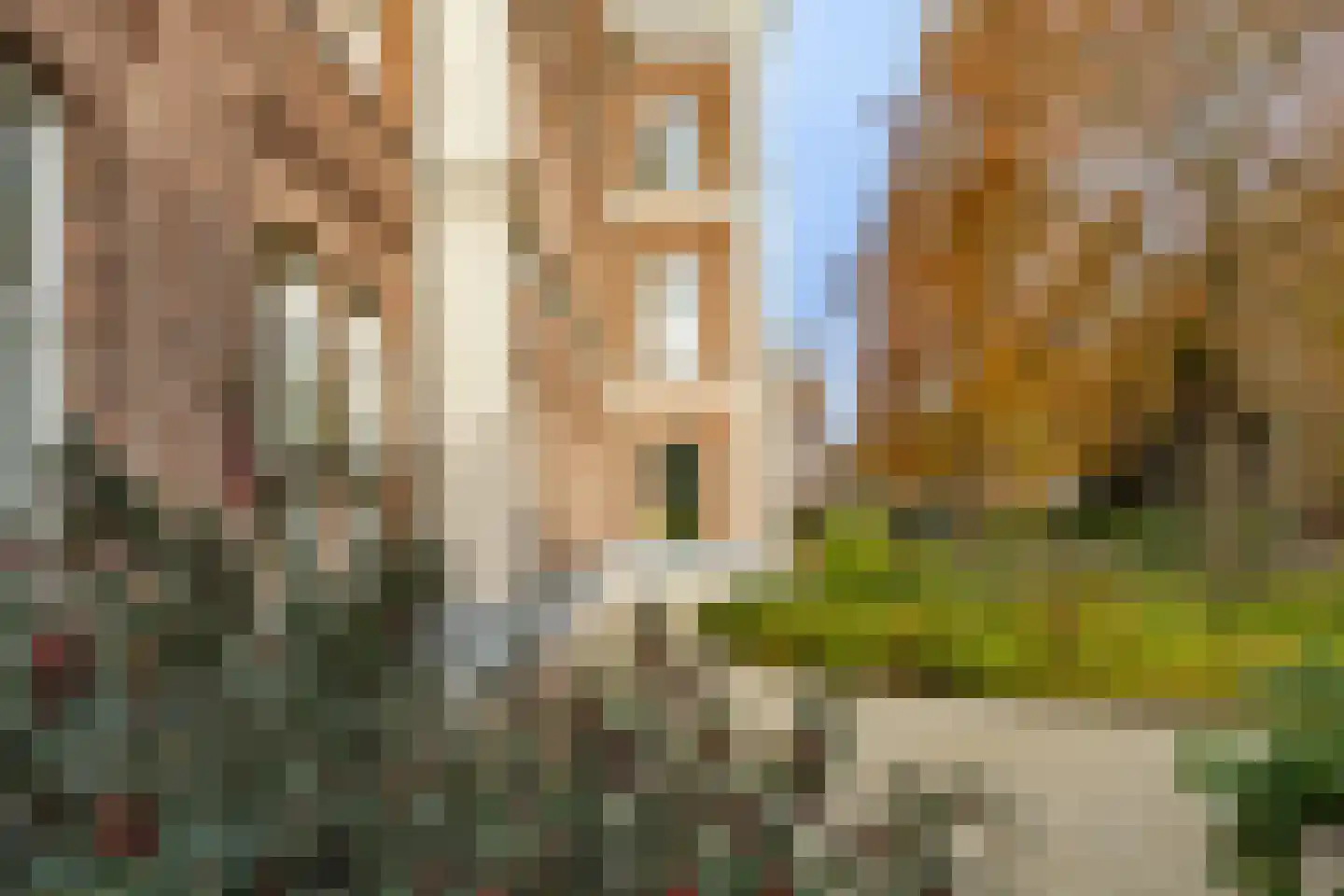 Vaartsestraat 35 Utrecht thumbnail 43