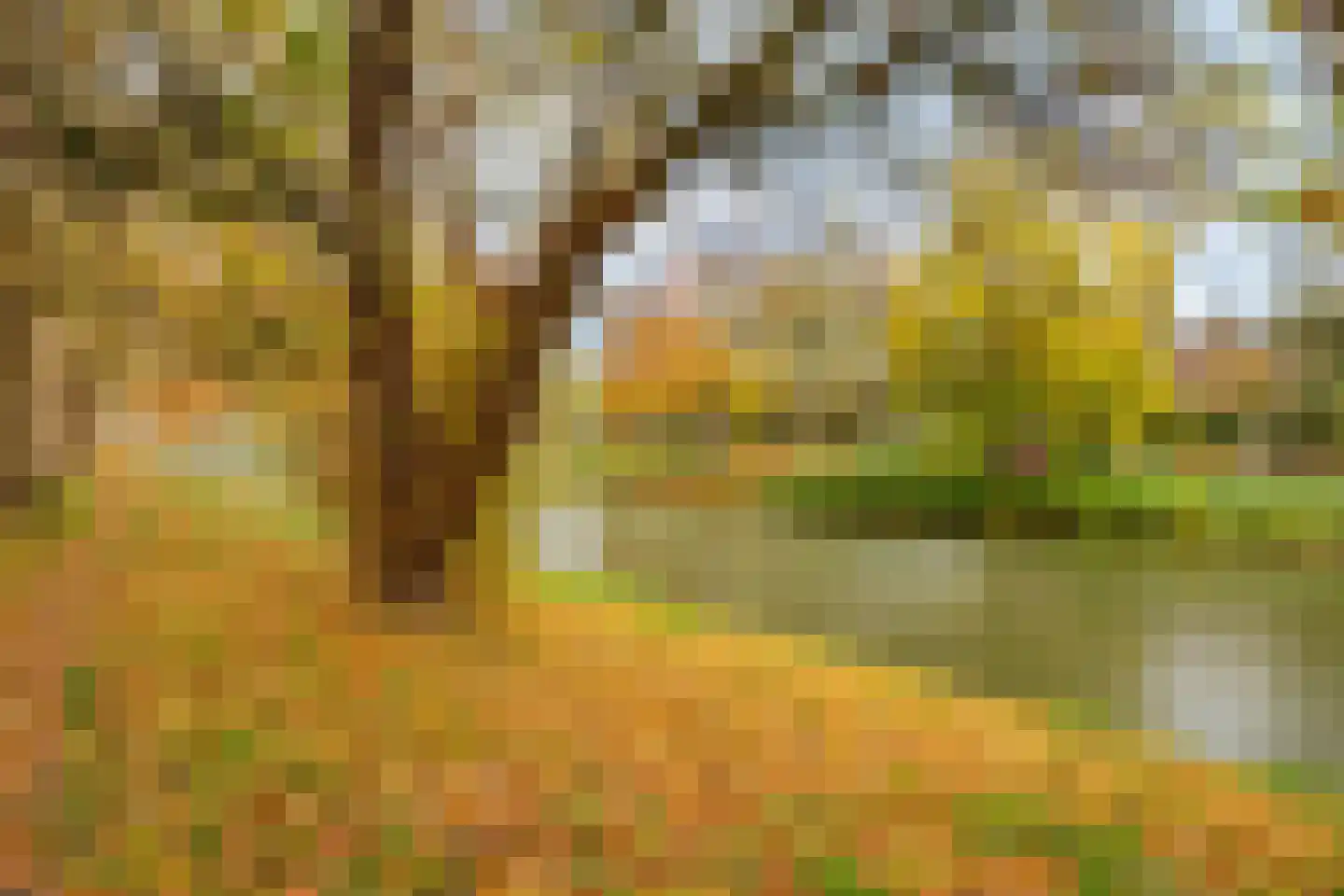 Vaartsestraat 35 Utrecht thumbnail 45
