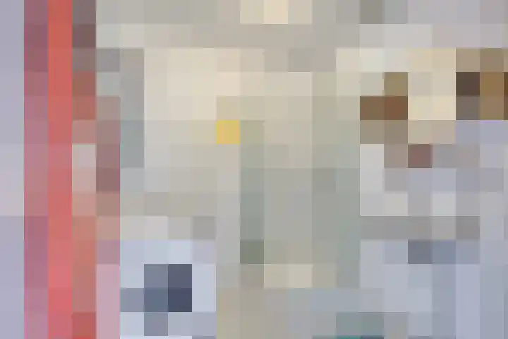 Vaartsestraat 37 Utrecht thumbnail 15