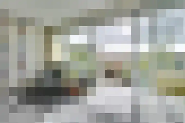 Vaartsestraat 37 Utrecht thumbnail 19