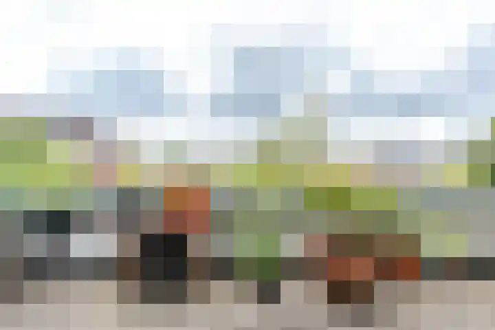 Vaartsestraat 37 Utrecht thumbnail 20
