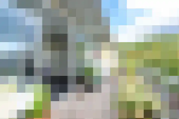 Vaartsestraat 37 Utrecht thumbnail 21