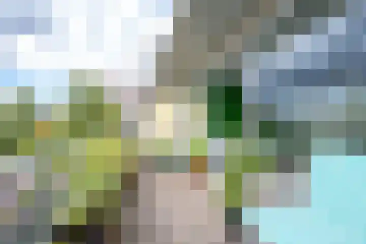 Vaartsestraat 37 Utrecht thumbnail 23
