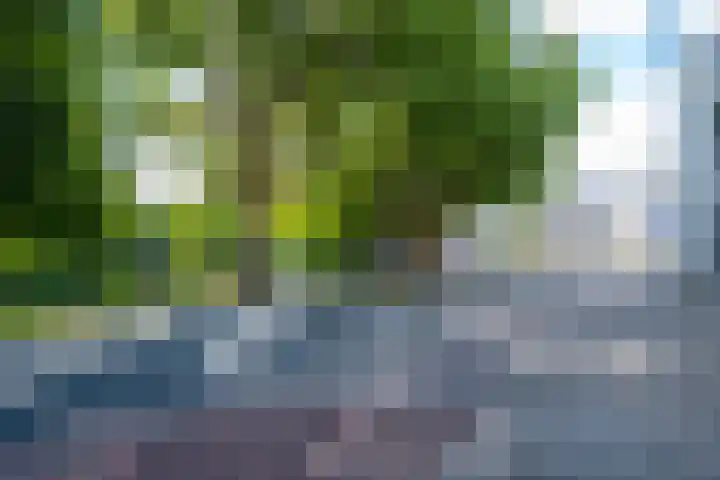 Vaartsestraat 37 Utrecht thumbnail 28