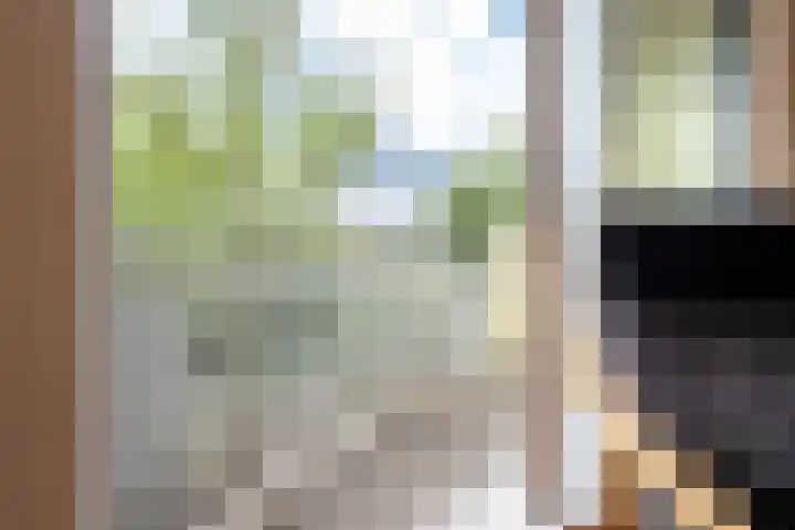 Vaartsestraat 37 Utrecht thumbnail 7