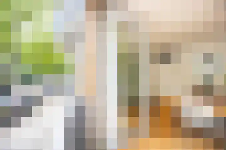 Vaartsestraat 9 Utrecht thumbnail 11