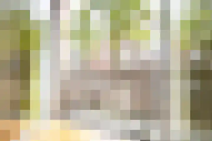 Vaartsestraat 9 Utrecht thumbnail 12