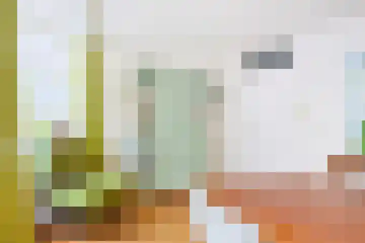 Vaartsestraat 9 Utrecht thumbnail 13