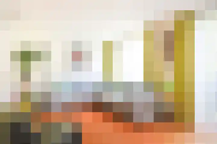 Vaartsestraat 9 Utrecht thumbnail 17