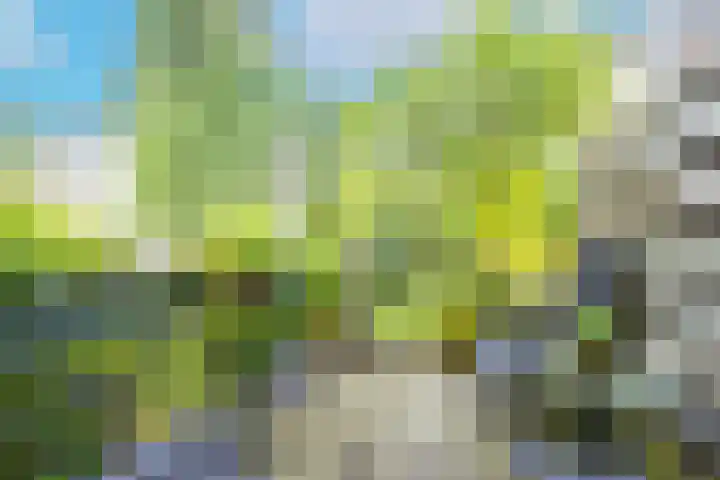 Vaartsestraat 9 Utrecht thumbnail 20