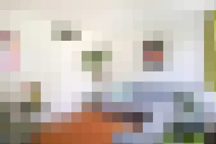Vaartsestraat 9 Utrecht thumbnail 23