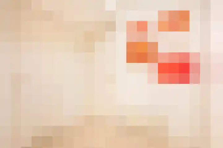 Vaartsestraat 9 Utrecht thumbnail 28