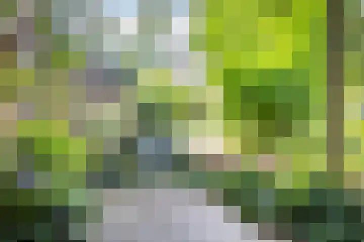 Vaartsestraat 9 Utrecht thumbnail 31