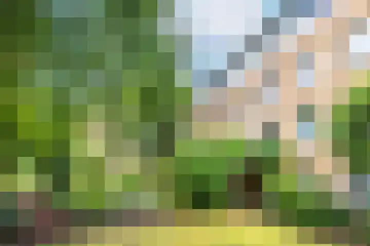 Vaartsestraat 9 Utrecht thumbnail 32