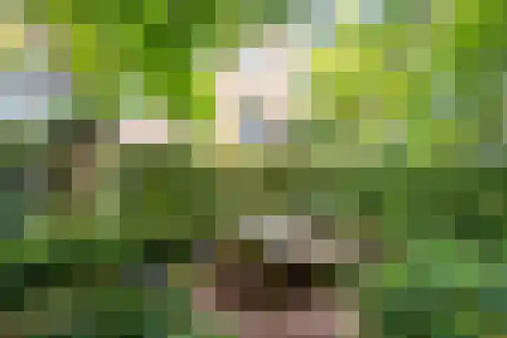 Vaartsestraat 9 Utrecht thumbnail 33