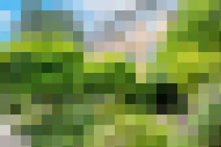 Vaartsestraat 9 Utrecht thumbnail 34