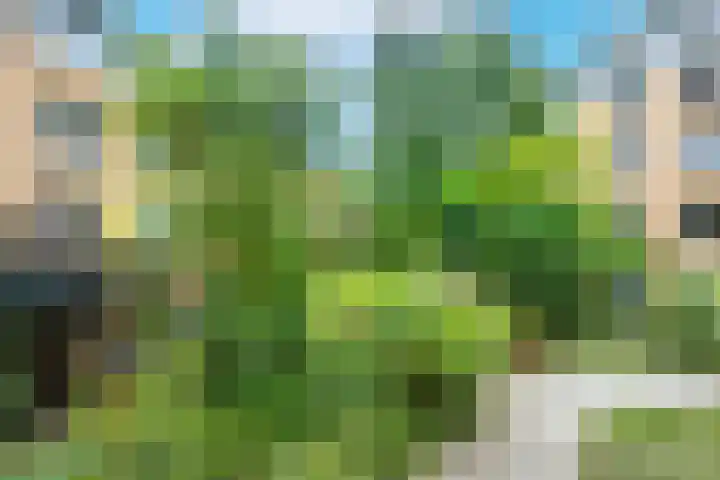 Vaartsestraat 9 Utrecht thumbnail 35