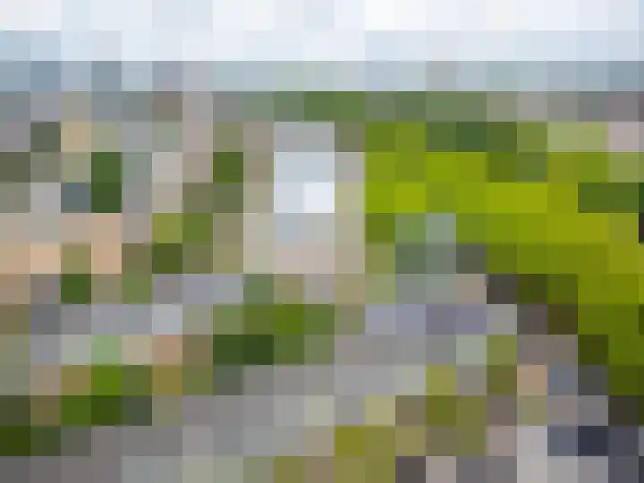 Vaartsestraat 9 Utrecht thumbnail 41