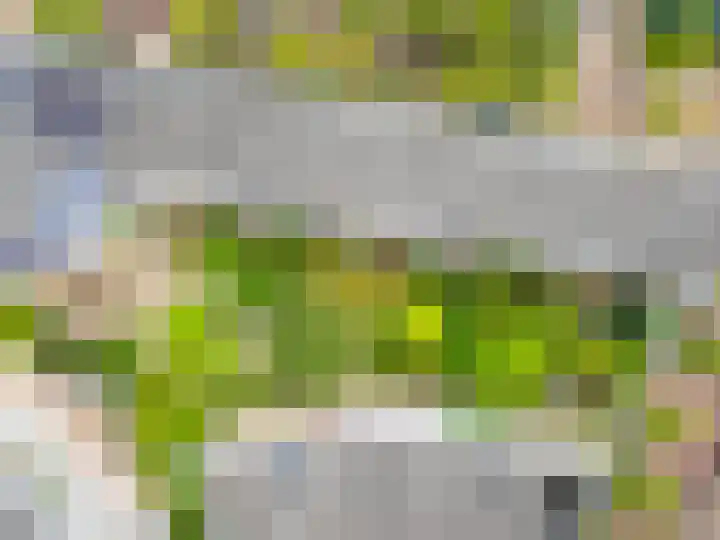 Vaartsestraat 9 Utrecht thumbnail 42