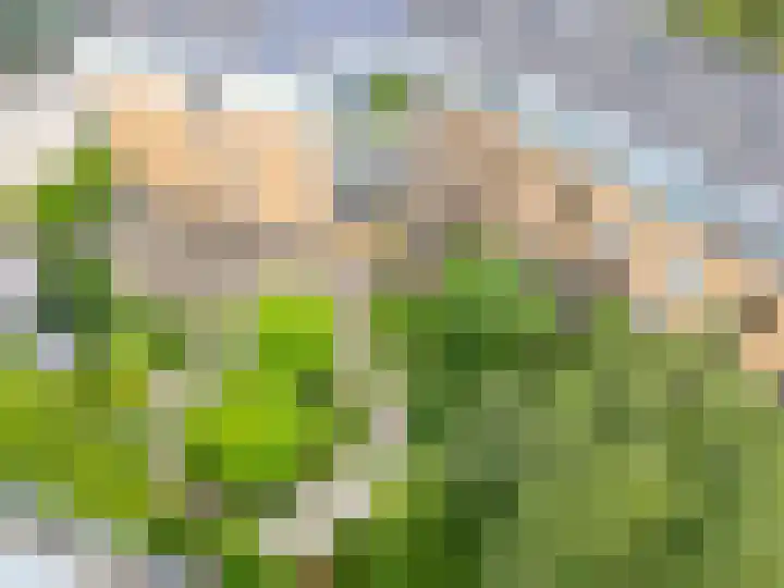 Vaartsestraat 9 Utrecht thumbnail 43