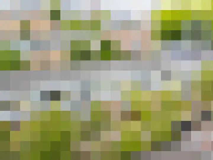 Vaartsestraat 9 Utrecht thumbnail 44