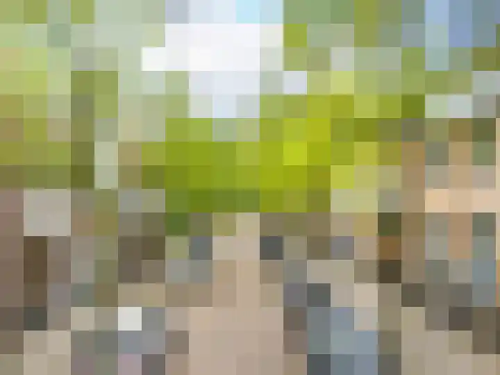 Vaartsestraat 9 Utrecht thumbnail 5