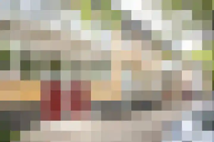 Vaartsestraat 9 Utrecht thumbnail 6