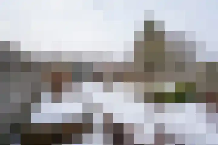 Vaartstraat 11 Culemborg thumbnail 26