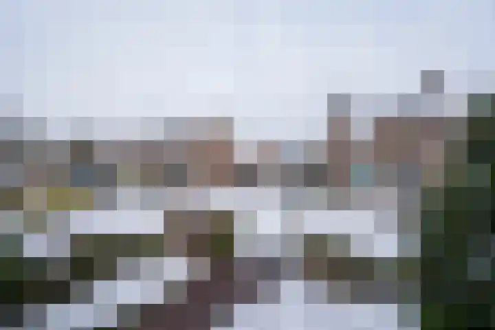Vaartstraat 11 Culemborg thumbnail 33